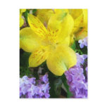 Spring Flowers 1 Post Card
