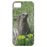 spring flowers animals mutters iPhone 5 case