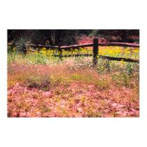 Spring flowers, back road, San Luis Obispo County, posters