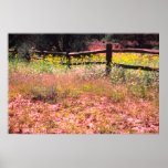 Spring flowers, back road, San Luis Obispo County, posters