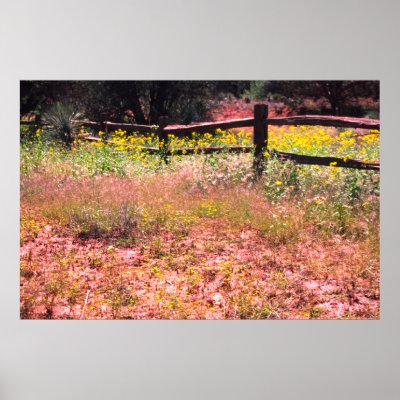 Flowers On Road