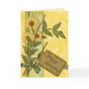 Spring Flowers Birthday cards