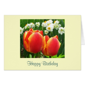 Spring Flowers Birthday Card