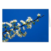 Spring Flowers Card