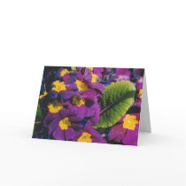 Spring Flowers cards