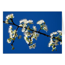 Spring Flowers Card