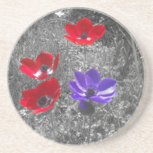 Spring Flowers Coaster