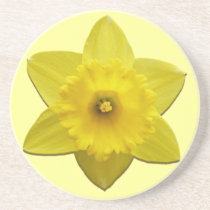Spring Flowers Coaster Daffoldil Flowers Coaster coasters