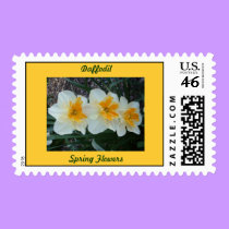 Spring Flowers - Daffodil - postage stamps by Horseshoes3 Spring Flowers - Daffodil - postage stamps