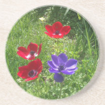 Spring Flowers Drink Coaster