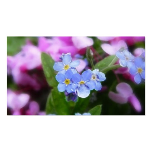 Spring Flowers - Forget Me Nots And Redbuds Business Card Template (back side)