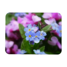 Spring Flowers - Forget Me Nots And Redbuds Rectangle Magnet