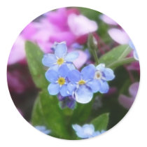 Spring Flowers - Forget Me Nots And Redbuds Round Stickers