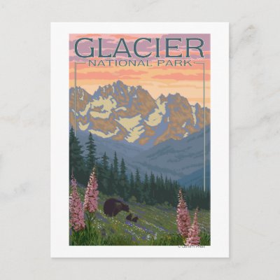 Spring Flowers - Glacier National Park, MT Post Card