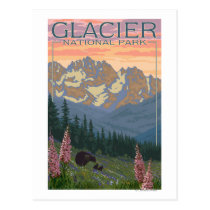 Spring Flowers - Glacier National Park, MT postcards