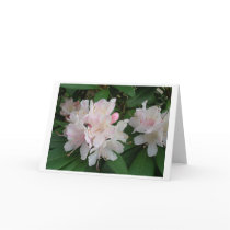 Spring Flowers Greeting Card Blank