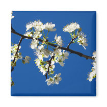 Spring Flowers Magnet