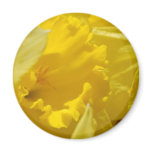 Spring flowers magnets