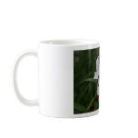 spring flowers mugs