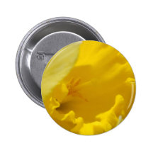 Spring flowers pinback button