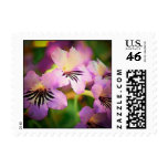 Spring Flowers Postage