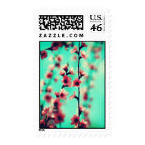 spring flowers Postage postage by starlingphotos spring flowers Postage postage