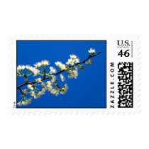 Spring Flowers Postage postage