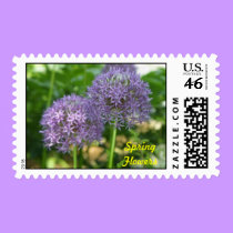 Spring Flowers - postage stamps by Horseshoes3 Spring Flowers - postage stamps