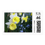 Spring Flowers Postage Stamps