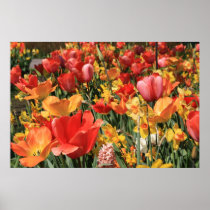 Spring flowers posters