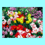"Spring Flowers" Poster posters