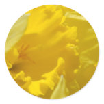 Spring flowers stickers
