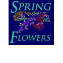 Spring Flowers t-shirts by QuietDog_Images Spring Flowers t-shirts