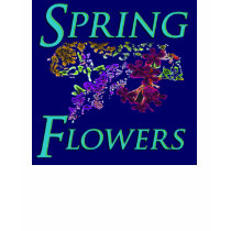 Spring Flowers t-shirts