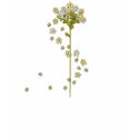 Spring Flowers t-shirts by litabug Spring Flowers t-shirts