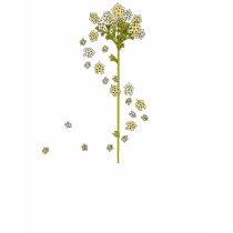 Spring Flowers t-shirts