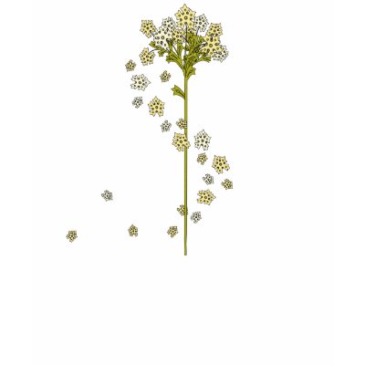 Spring Flowers Tee Shirts by litabug
