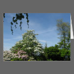 Spring Flowers Vancouver, BC Card