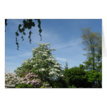 Spring Flowers Vancouver, BC Card Spring Flowers Vancouver, BC Card