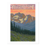 Spring Flowers - Yellowstone National Park Postcard