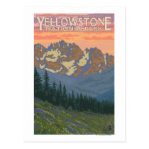 Spring Flowers - Yellowstone National Park postcards