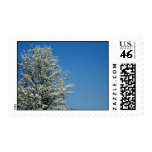 Spring Foliage Stamps