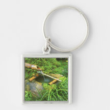 Spring for Tea Ceremony, Sanzen-in Temple, Keychain
