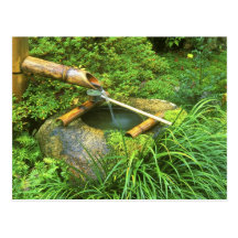 Spring for Tea Ceremony, Sanzen-in Temple, Postcard