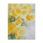 Spring Fresh Postcards
