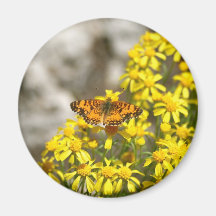 Spring Fridge Magnets