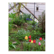 Spring Garden Postcard