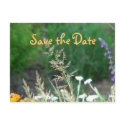 Spring Garden Save the Date postcards by littlewingdesign Spring Garden Save the Date postcards