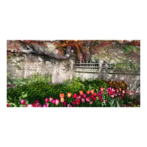 Spring - Gate - My Spring garden Picture Card