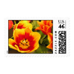 Spring Glory Postage